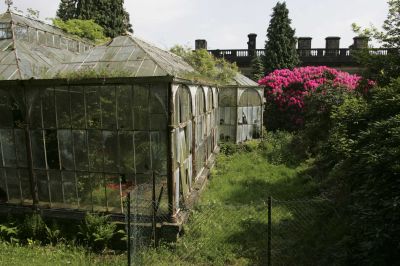 Conservatory photograph