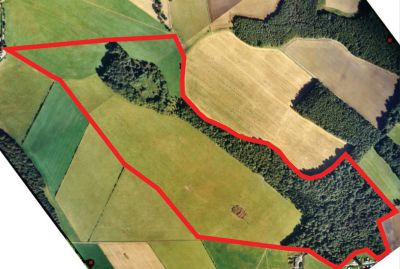 Arial view of new planting at Broom Royd
