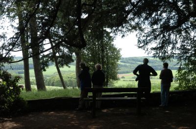 Earl's View photograph