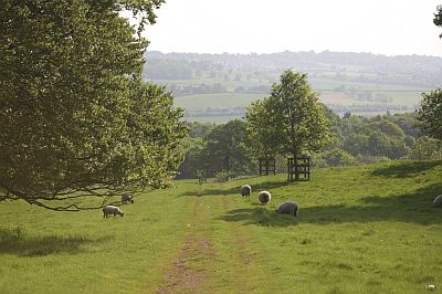 East Parkland Photography