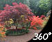 Click here to view 360 degree panorama