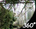 Click here to view 360 degree panorama