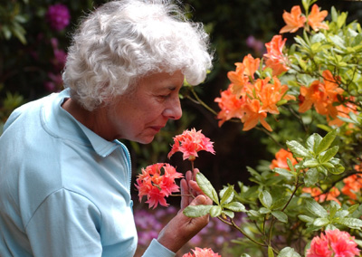 Come and enjoy a group visit to Wentworth Castle Gardens...