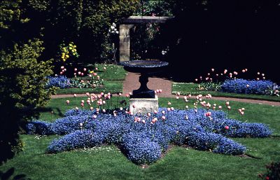 Secret Garden - annuals