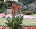 Secret Garden photography