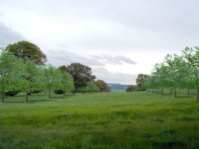 Digital Impression of New South Avenue photograph