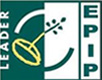 EPIP LOGO