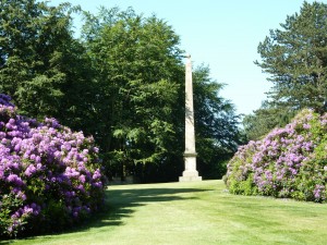Sun monument with rhodies