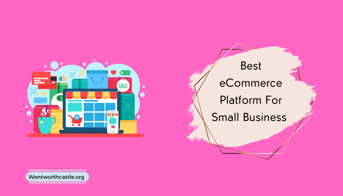 Best eCommerce Platform For Small Business